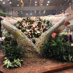 Meet your Posher, Lynn